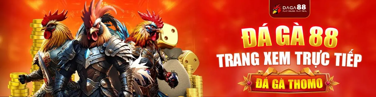 Đá gà trực tuyến kịch tính tại wynn09 nhà cái