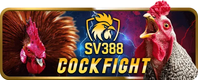 Ưu đãi chào mừng thành viên mới wynn09 nhà cái